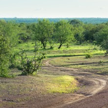 Landscape, Zimbabwe